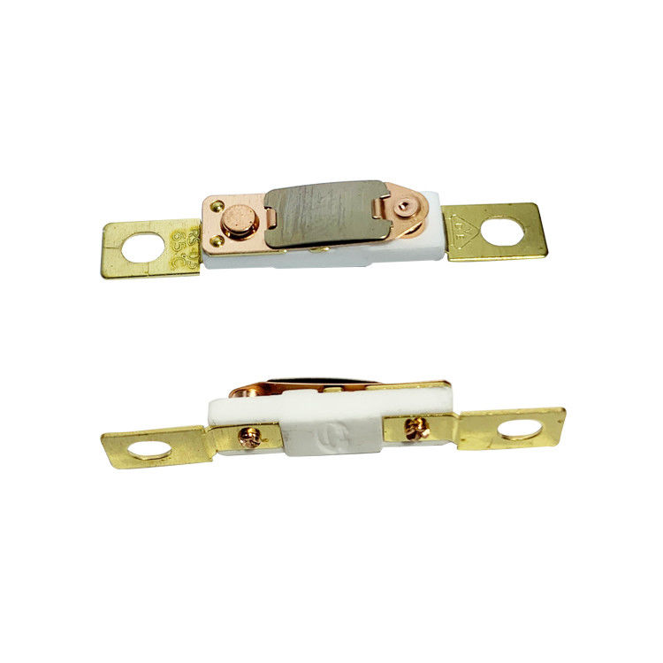 RS03 250V 10A 16A Thermal Cut Off Switch For Electric Fan Heaters
